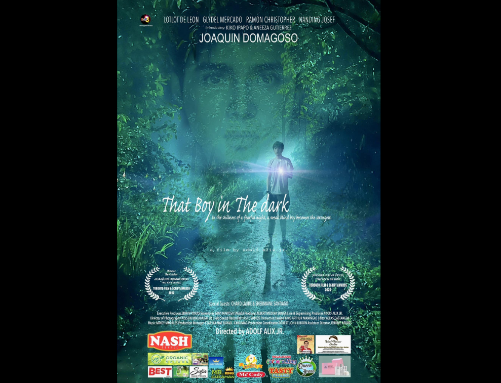 ﻿Sinopsis Film That Boy in the Dark (2023): Menguak Rahasia di Rumah Kakek