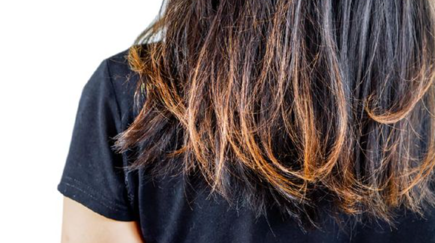 Apa Penyebab Rambut Cepat Kering Dan Kusam - Fakta.id